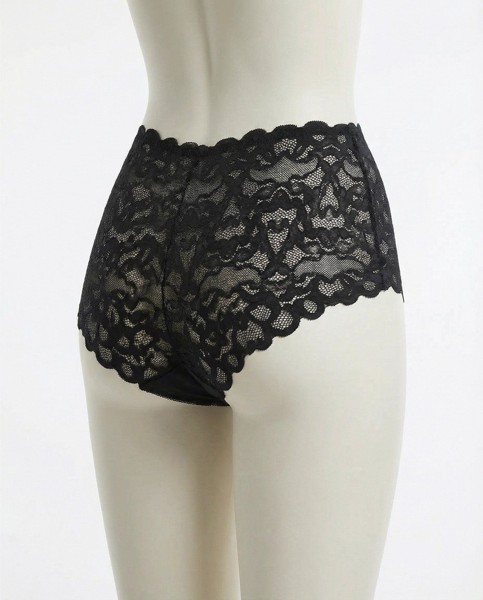 Black Floral Lace High Waist Brief - Marelia